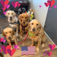 Lori Ann Whiteman's profile image