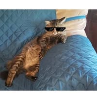Sheri Johnson's profile image