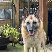 Robyn Willis's profile image