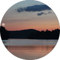 C Holtmeier's Profile Image