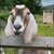 Kathy Kershaw's profile image