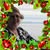 Brigid Ryan's profile image