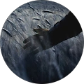 Mark Nowakowski's Profile Image