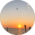 Donald Ayres's Profile Image