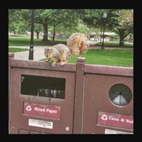 Sally S.'s profile image