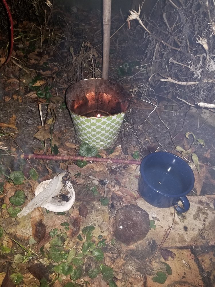 Jessie C.'s profile image