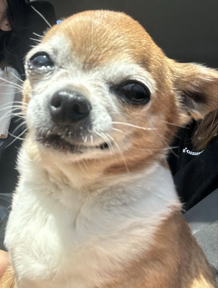 Esther S.'s profile image