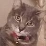 Kathryn M. S.'s profile image