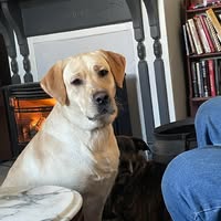 Sandy Hill Labs's profile image