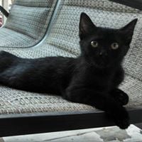 Katlyn K.'s profile image