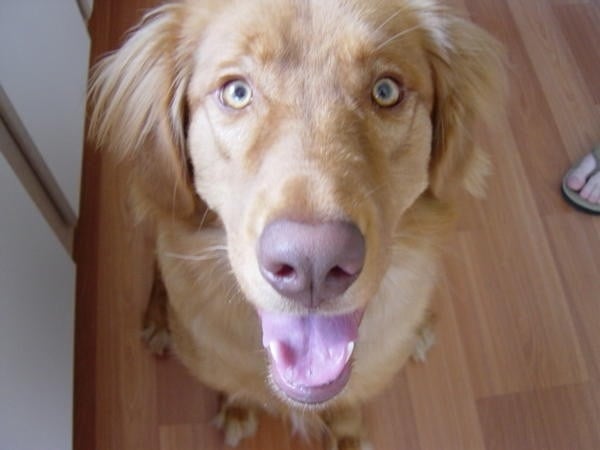 M M.'s profile image