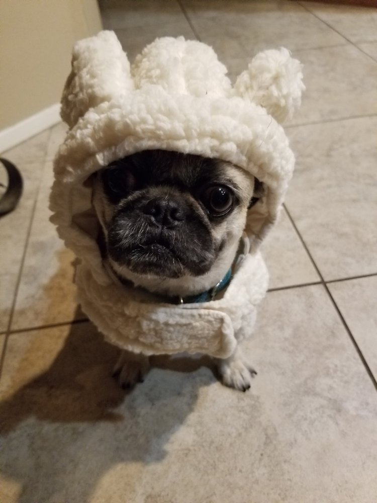 Ryann L.'s profile image