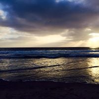 Heather Y.'s profile image