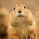 Sue middlemiss's profile image