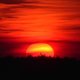 syeda husna's profile image