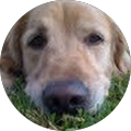 Michael Hadden's Profile Image