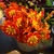 Sandy Stearns's profile image