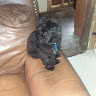 Jessie H.'s profile image