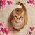 Rhea Thalia's profile image