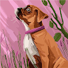 Bailey T.'s profile image