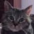 Marilyn Lou Berry's Profile Image