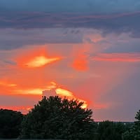 Cindy Dawson's profile image