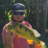 Jd's profile image