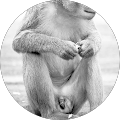 Bryan Berumen's Profile Image