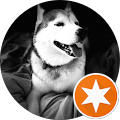 Profile Photo of Rain D