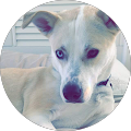 Profile Photo of Sean Sours