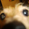 Sharon D.'s profile image