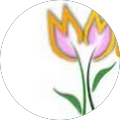Profile Photo of Manasa mucherla