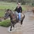 Lynn-Bob Carlton's profile image