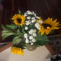 Theresa M Dahan's profile image