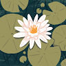 Susana's profile image