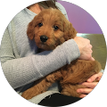 Laurie Tochterman's Profile Image