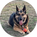Bill Link's Profile Image