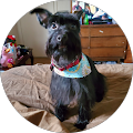 Bridgette baxter's Profile Image
