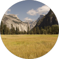 Jim Collick's Profile Image