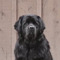 Jackie Michaelis's profile image