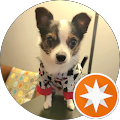 Matthew Yeung's profile image
