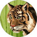 Pseudo Self's Profile Image