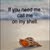 Christine Fennell's profile image