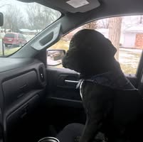 Jamie Spurlock's profile image
