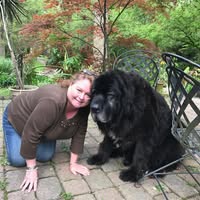 Sue Lightcap Reilly's profile image