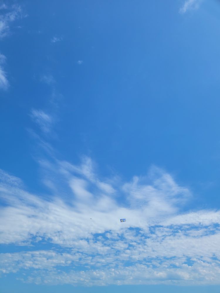 April W.'s profile image