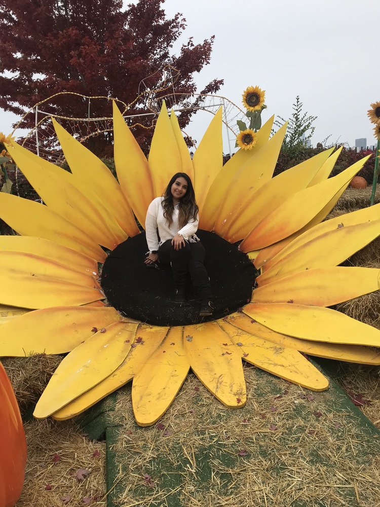 Asucely L.'s profile image