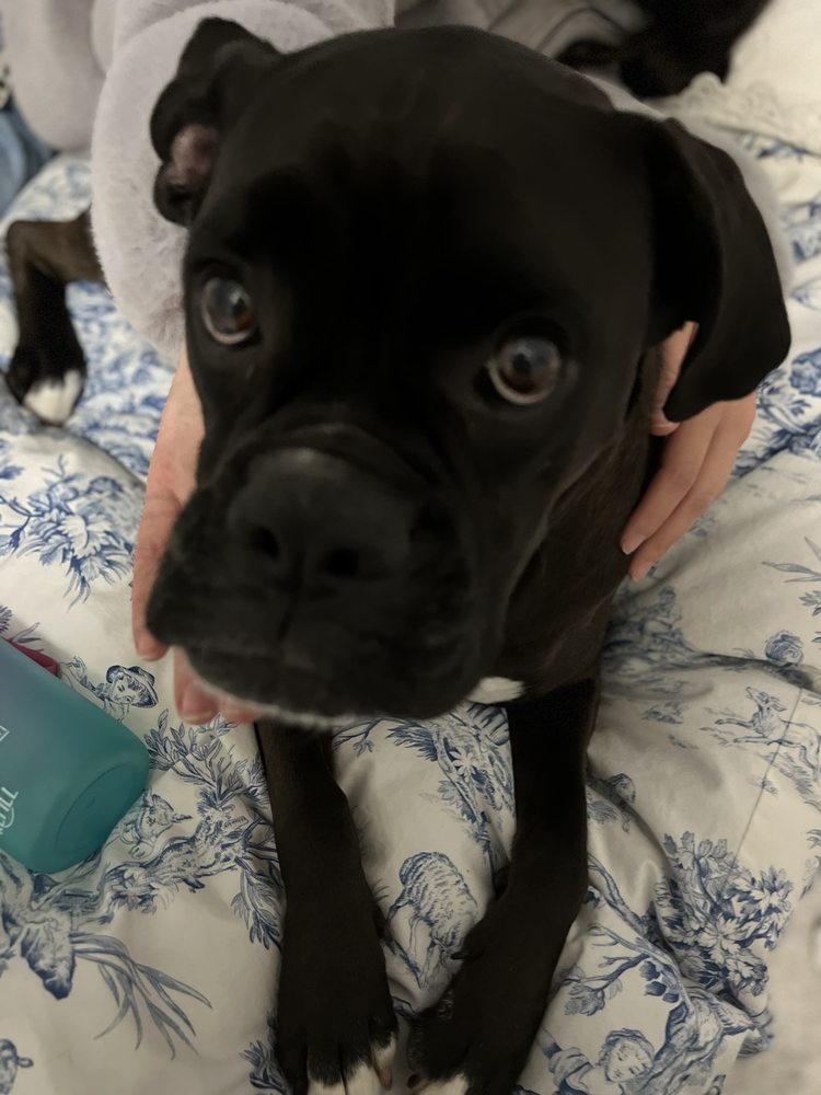Kendall C.'s profile image