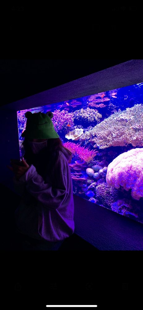 Brianna P.'s profile image