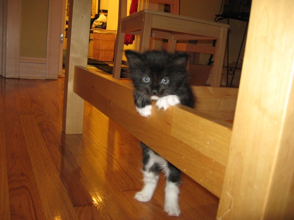 L L.'s profile image